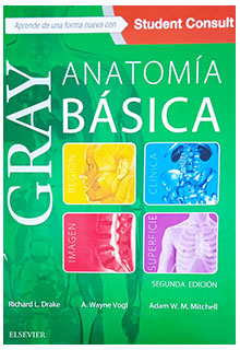 Gray anatomía básica