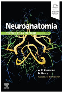 Neuroanatomía texto y atlas en color . Alan R. Crossman - QM451 C7618 2020