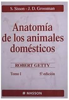 Anatomía de los animales domésticos : Sisson y Grossman. Robert Getty - SF761 .S5818 1982