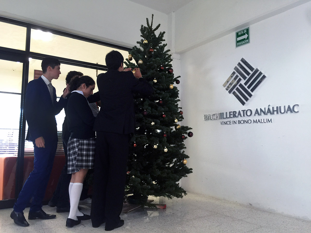 prepa-anahuac-primer-pino-navidad