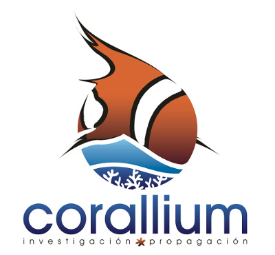 corallium_400