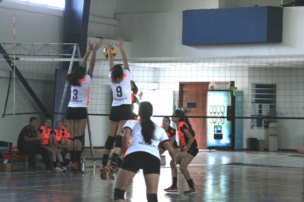 leonas-voleibol-ganan_05