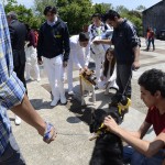 amigos-de-los-animales_02