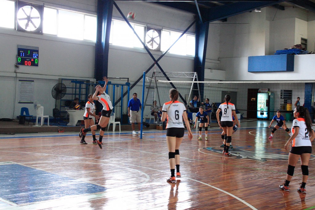 actividad-voleibol-2016-10_08