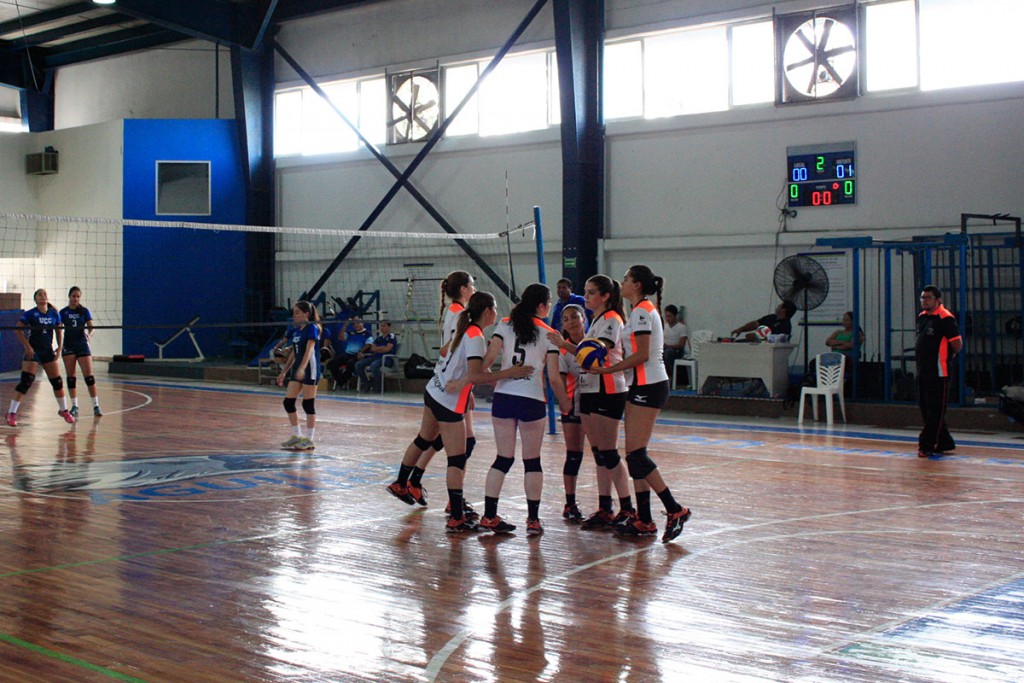 actividad-voleibol-2016-10_10