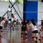 actividad-voleibol-2016-10_11