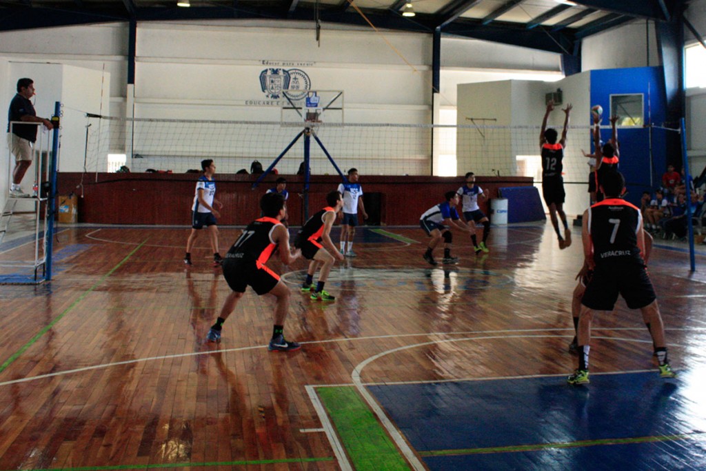 actividad-voleibol-2016-10_12