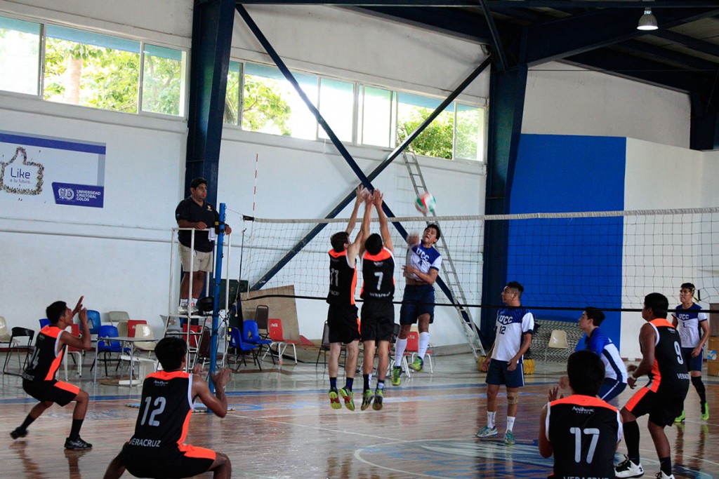 actividad-voleibol-2016-10_15