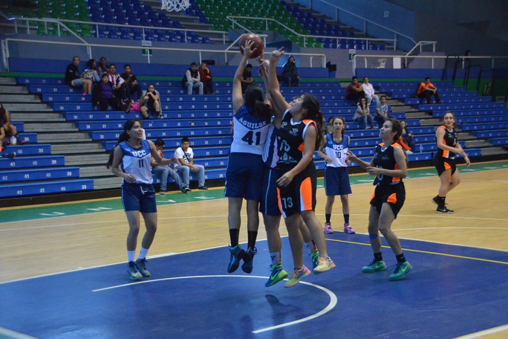 leones-baloncesto-regional-condde_06