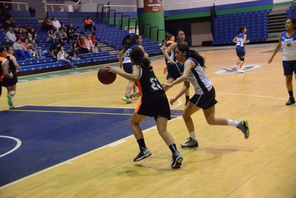 leones-baloncesto-regional-condde_07