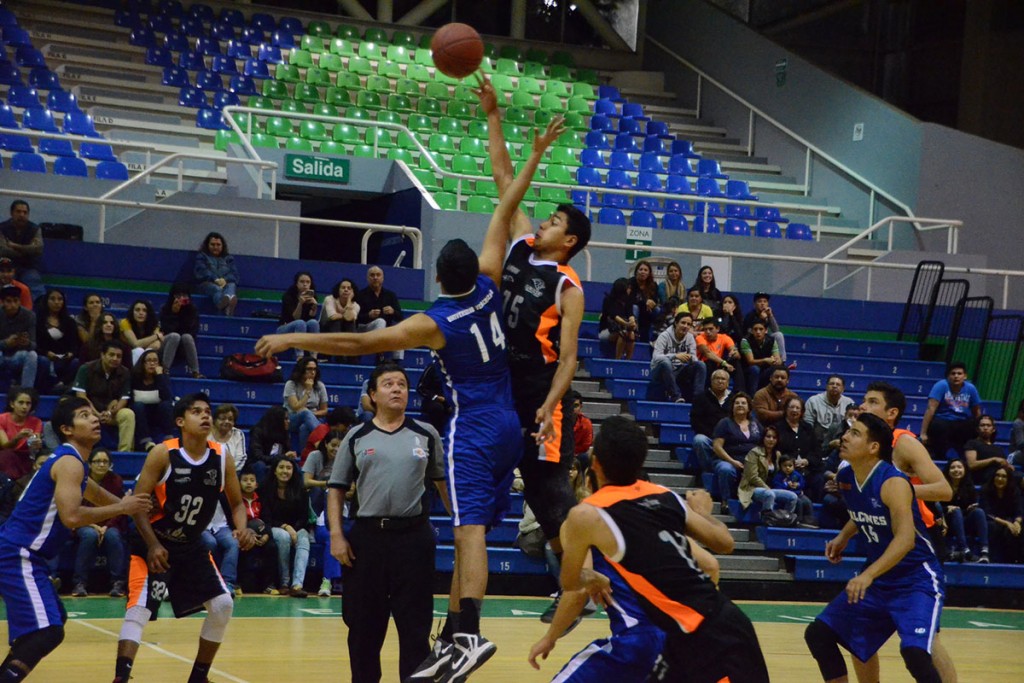 leones-baloncesto-regional-condde_09