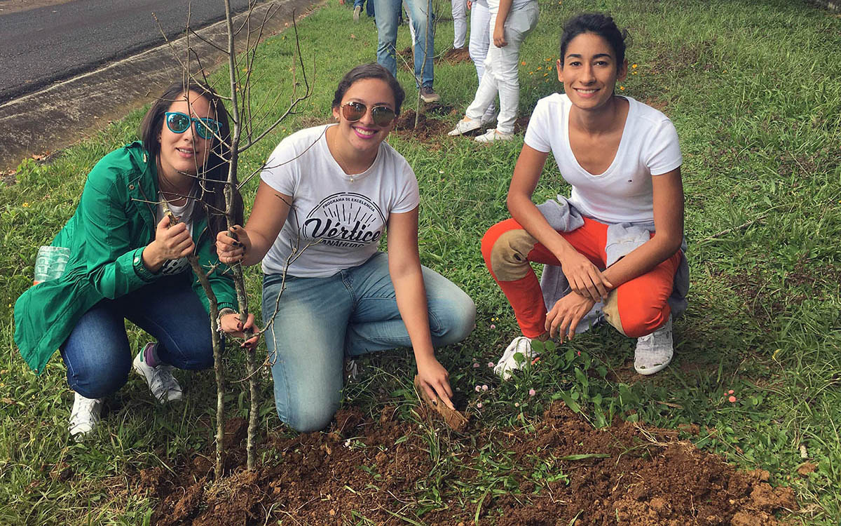 vertice-comunidad-plantar-arboles_01