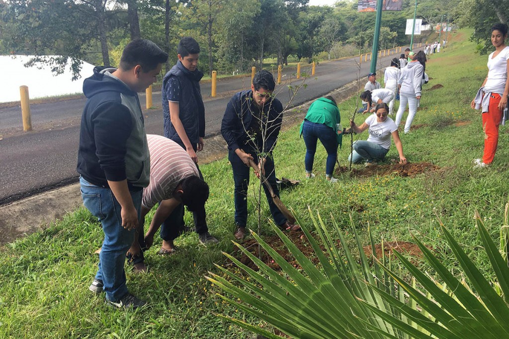 vertice-comunidad-plantar-arboles_03