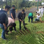 vertice-comunidad-plantar-arboles_03