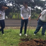 vertice-comunidad-plantar-arboles_04