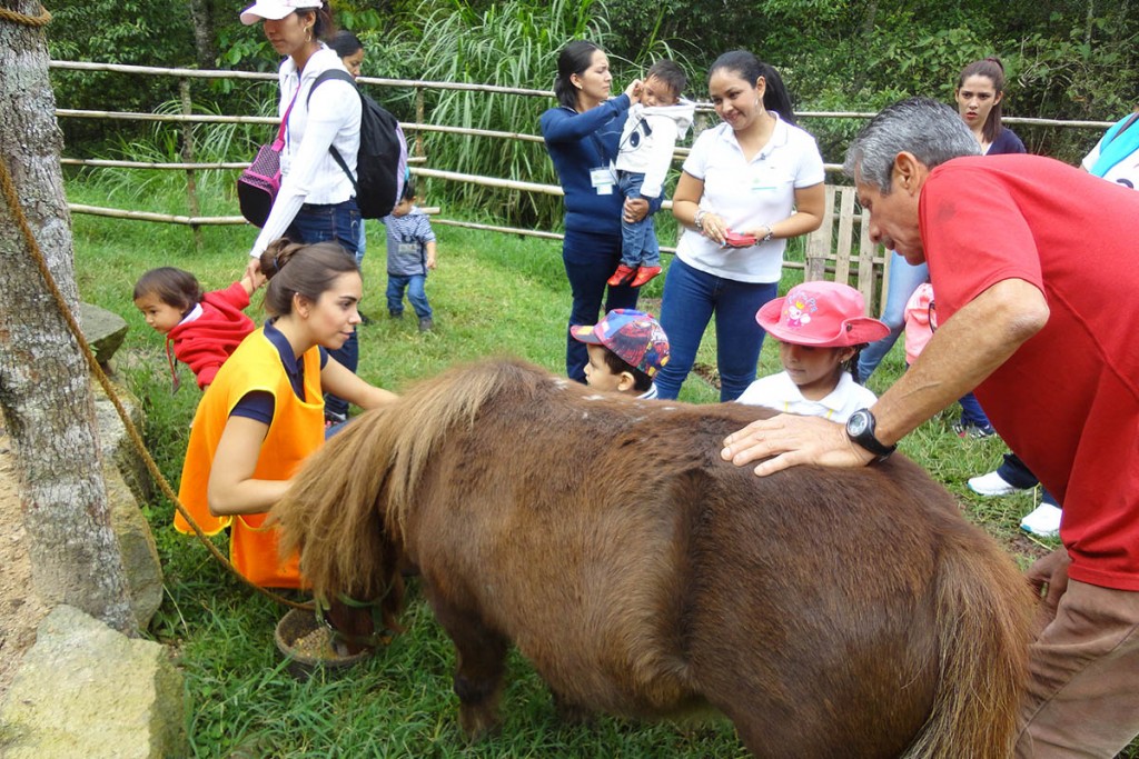 servicio-social-medio-ambiente_08