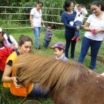 servicio-social-medio-ambiente_09