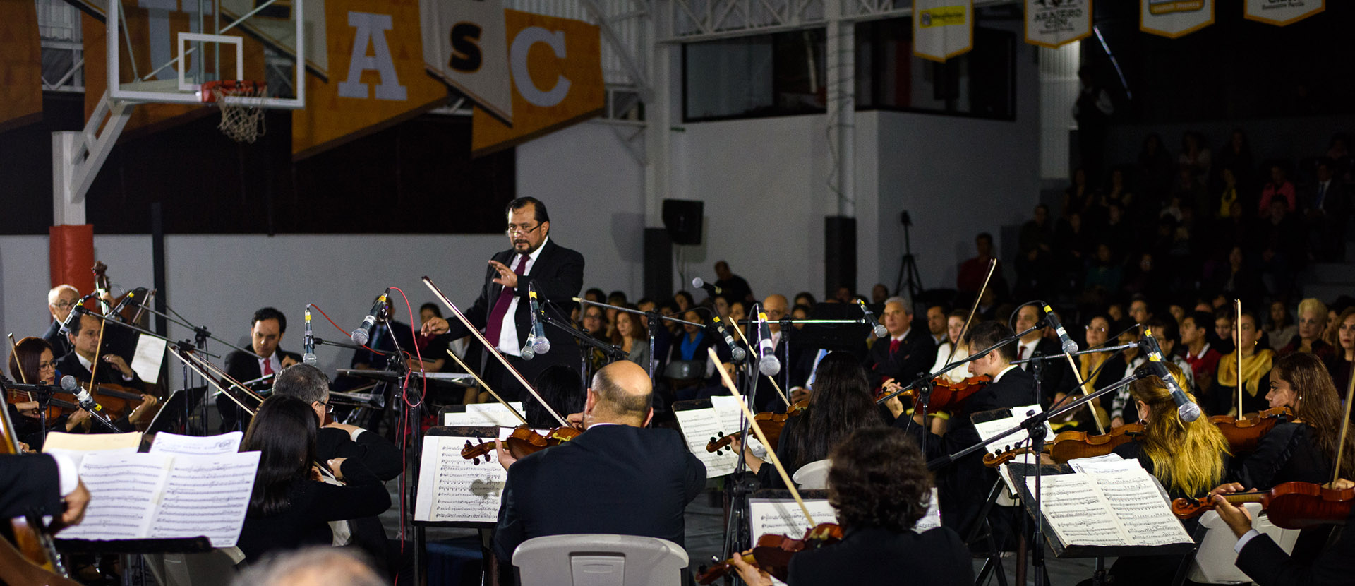 concierto-navidenio-2016-04