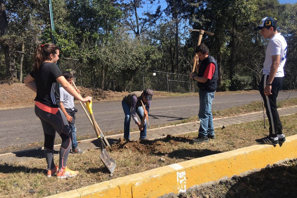 participacion-social-bax_06