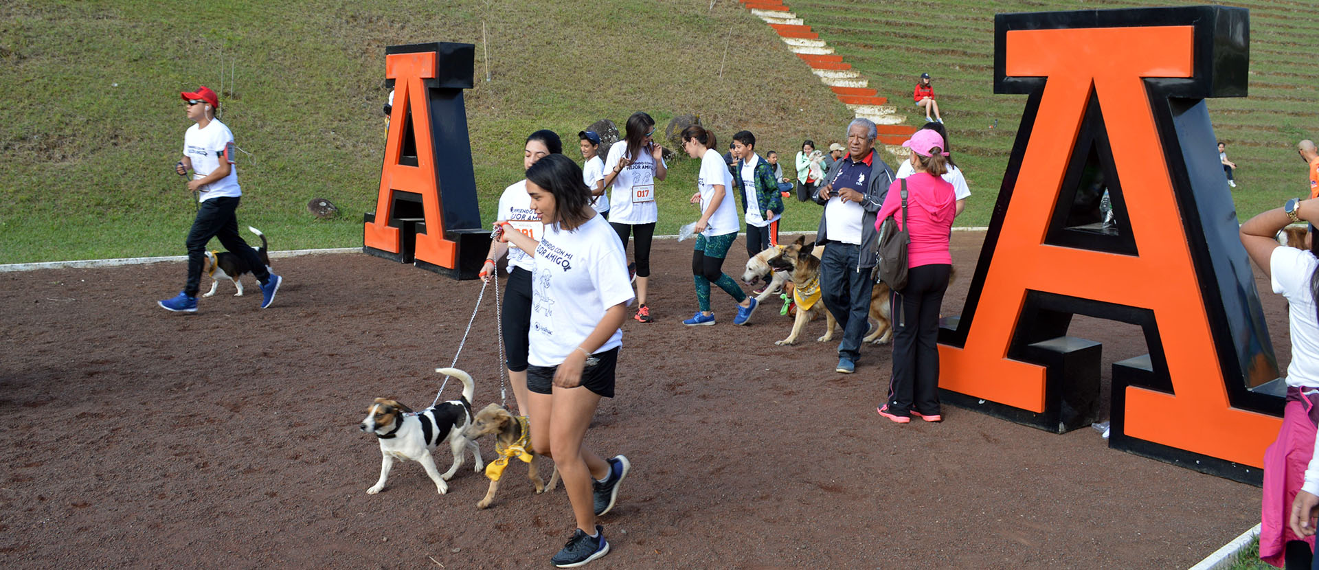 corriendo-con-mi-mejor-amigo_02