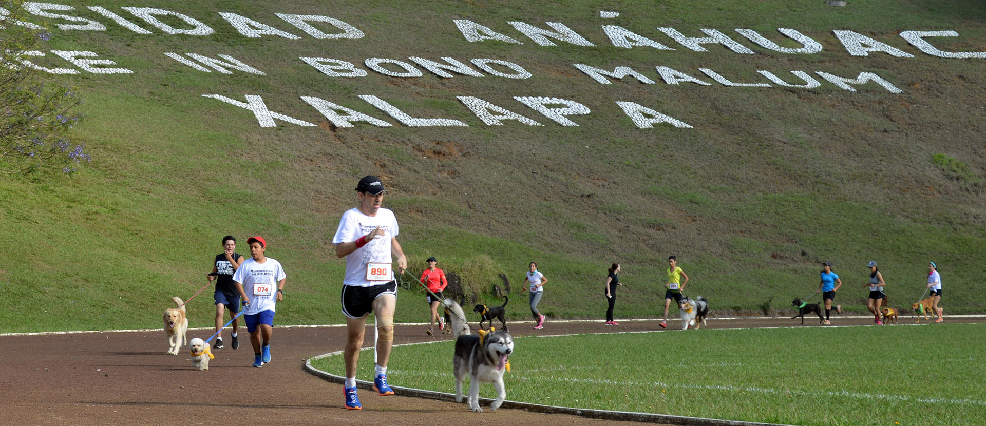 corriendo-con-mi-mejor-amigo_03