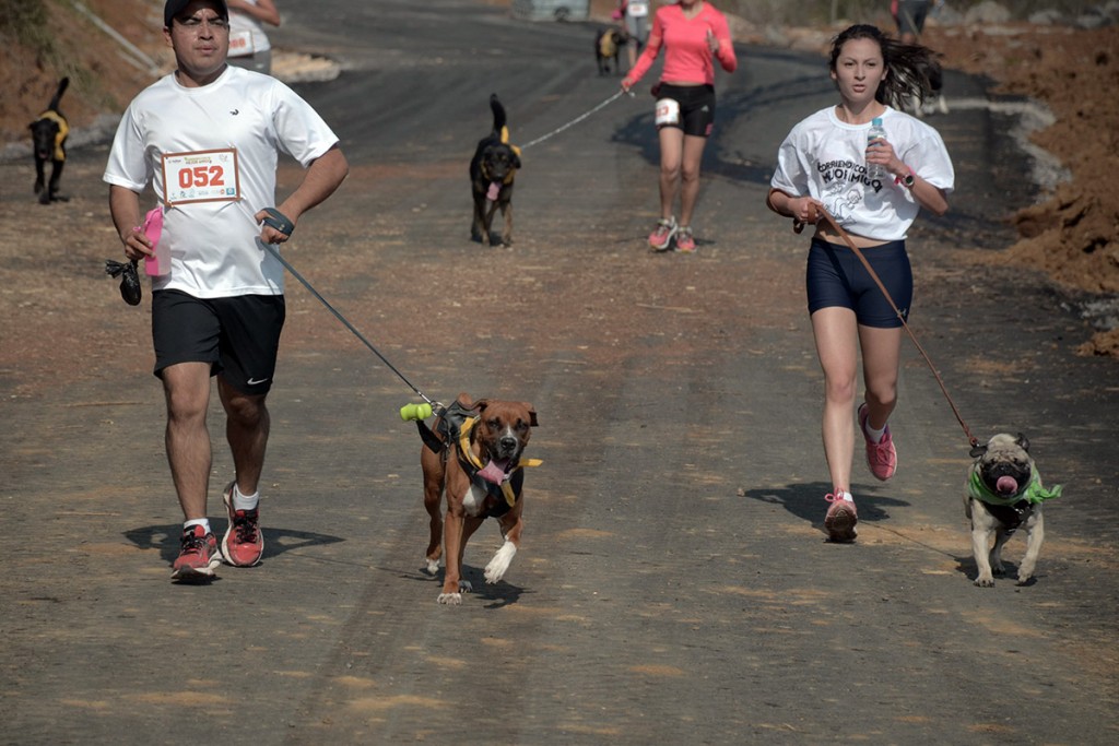 corriendo-con-mi-mejor-amigo_112