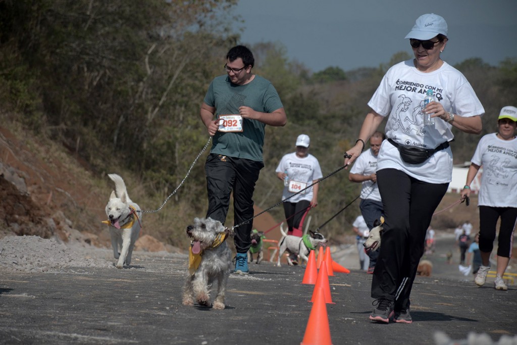 corriendo-con-mi-mejor-amigo_116