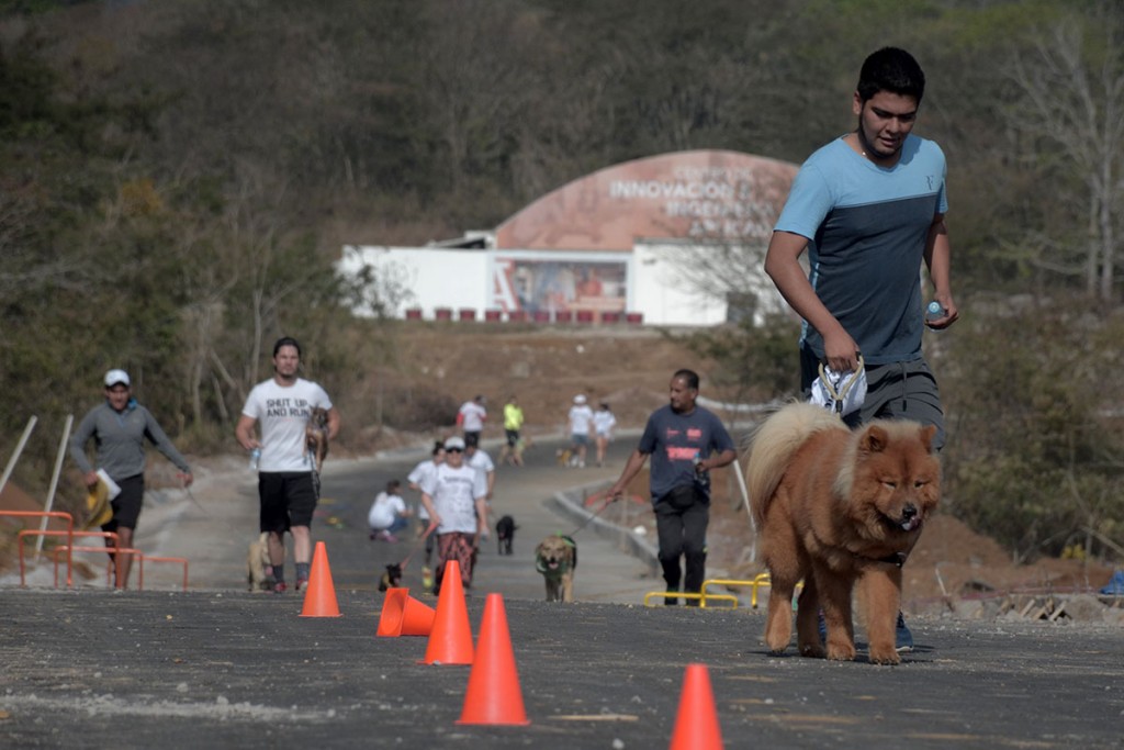 corriendo-con-mi-mejor-amigo_117