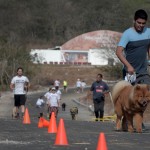 corriendo-con-mi-mejor-amigo_117