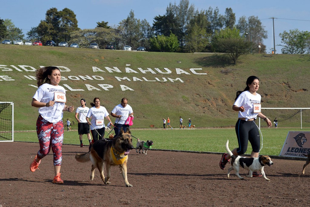 corriendo-con-mi-mejor-amigo_121