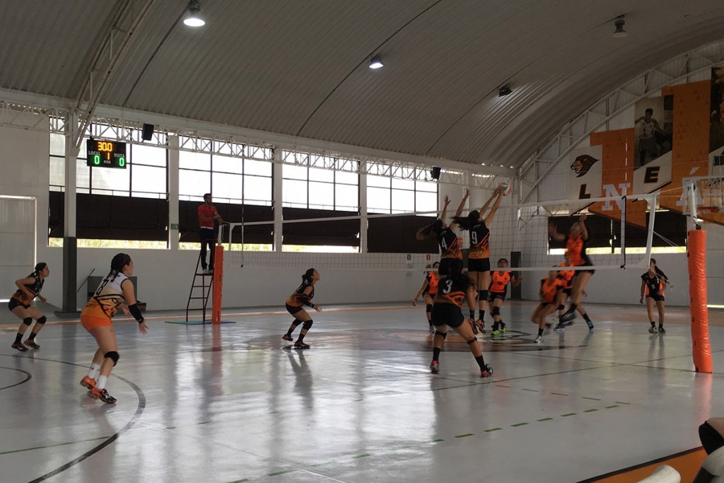 leones-triunfan-regional-voleibol-2017_08