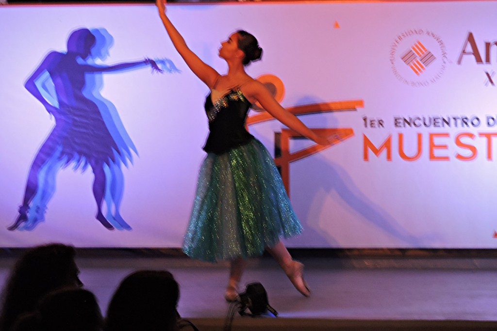 1er-encuentro-danza-estudiantil-2017_11