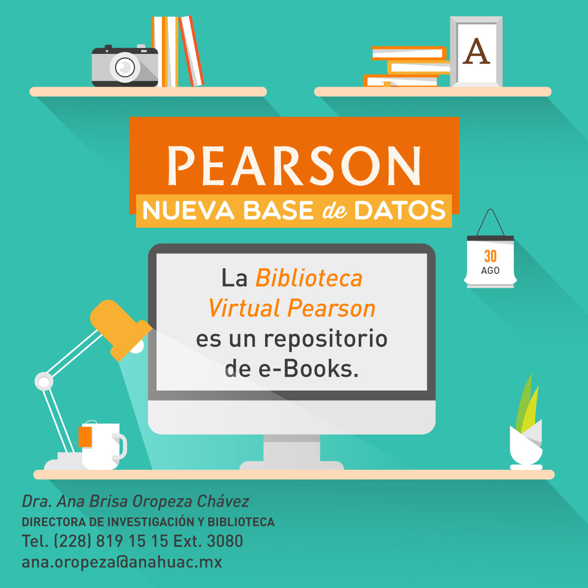 BV Pearson, nueva Base de Datos