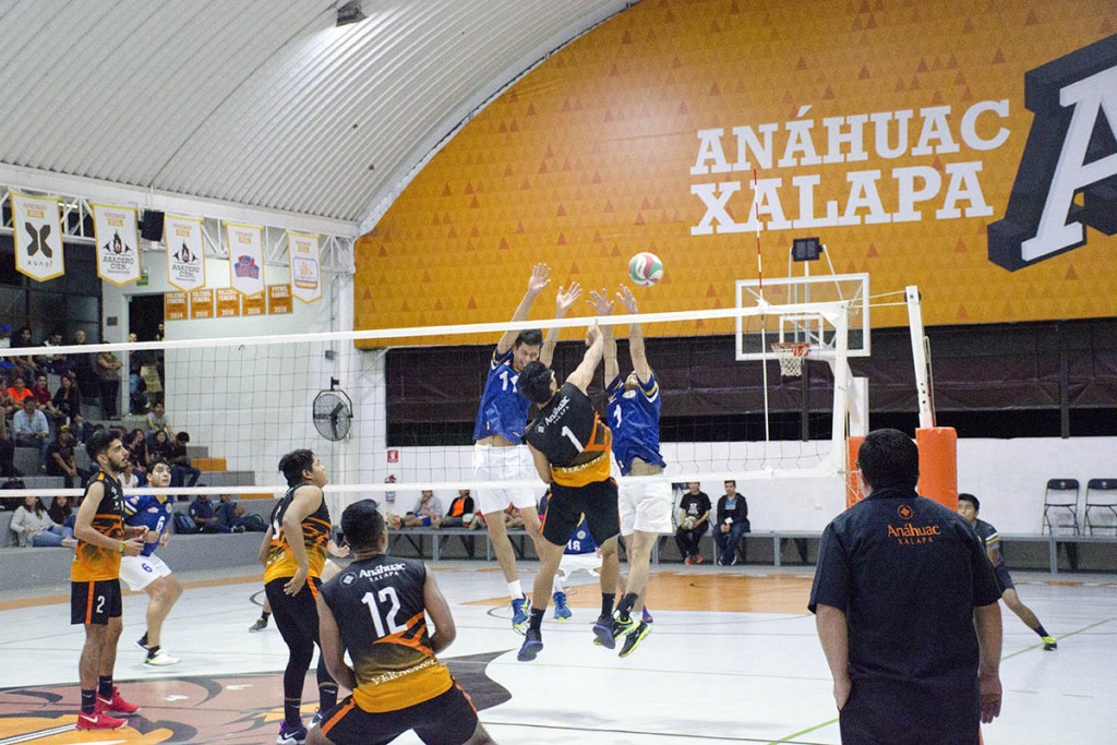 torneo-voleibol-doble-jornada-abe_05