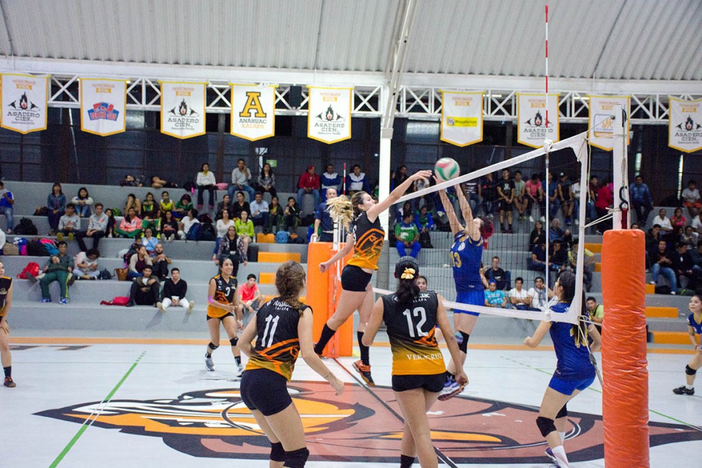 torneo-voleibol-doble-jornada-abe_10