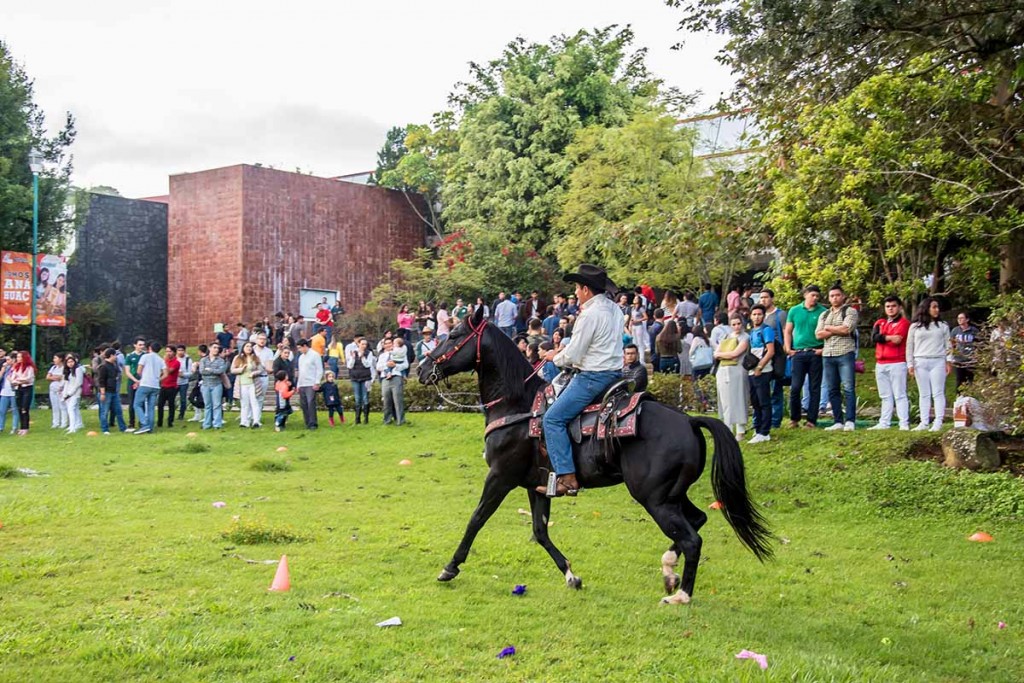 fiestas-patrias-2018_08