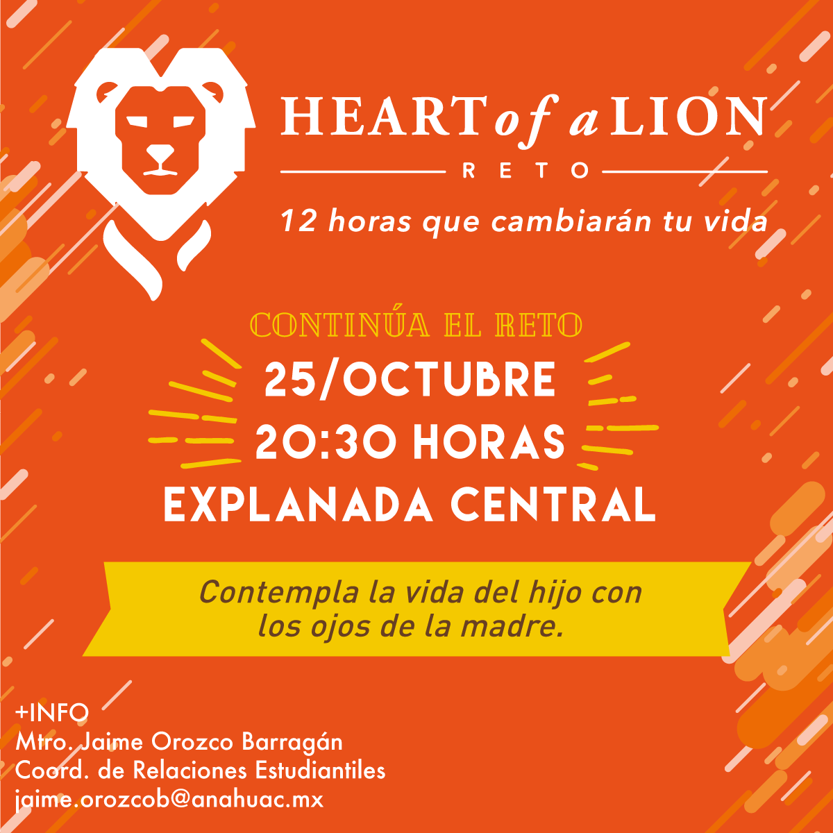 Reto Heart of a Lion: Décima Actividad