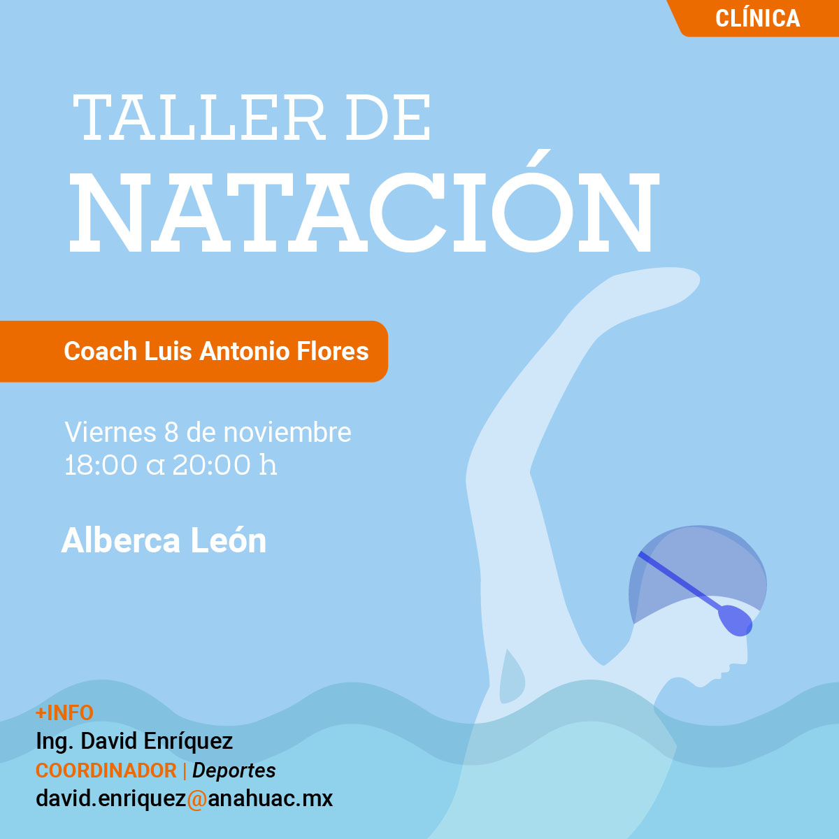 Taller de Natación Taller de Natación