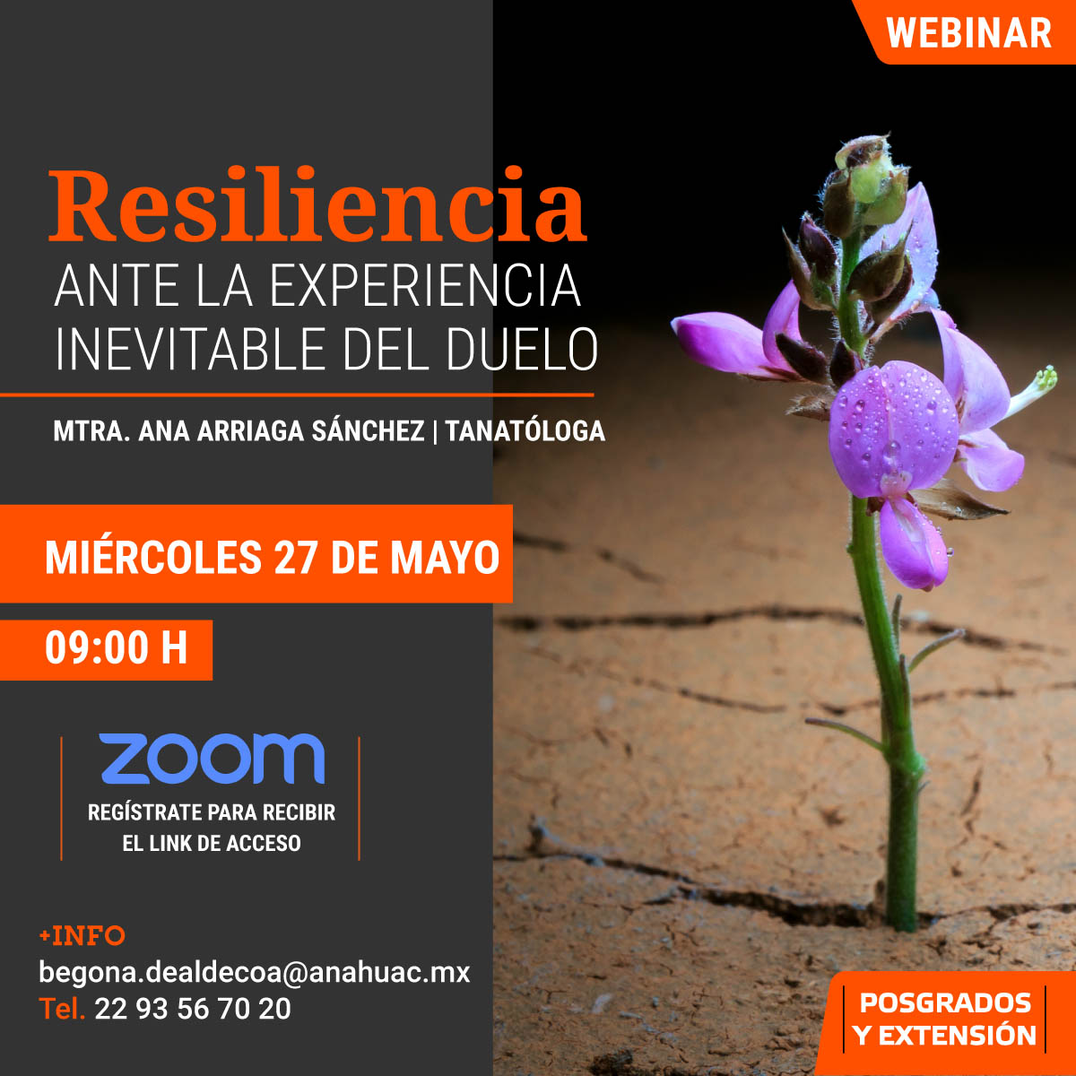 Resiliencia Ante la Experiencia Inevitable del Duelo Resiliencia Ante la Experiencia Inevitable del Duelo