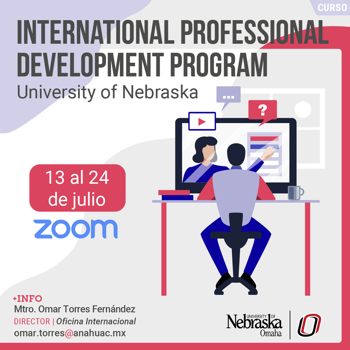 International Professional Development Program