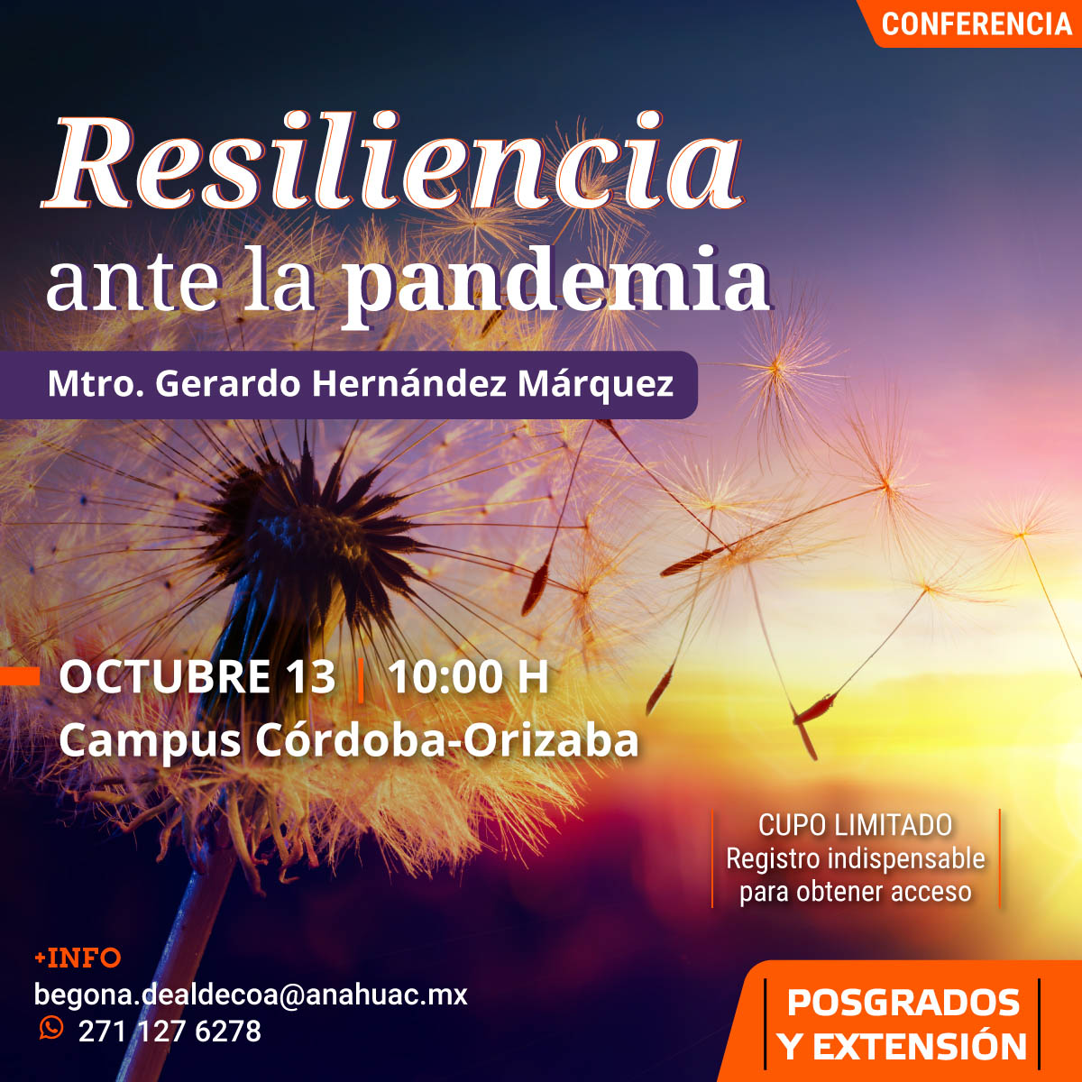 Resiliencia Ante la Pandemia Resiliencia Ante la Pandemia