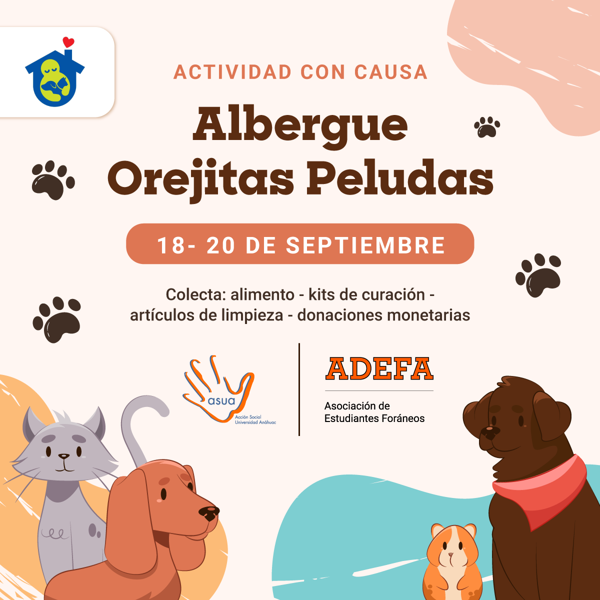 Albergue Orejitas Peludas: Actividad con Causa