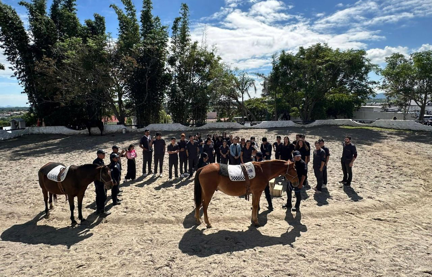 alumnos-fisioterapia-demostracion-equinoterapia_01