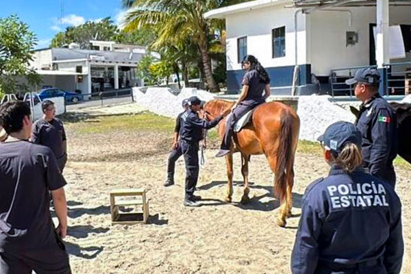 Alumnos de Fisioterapia Asisten a una Demostración de Equinoterapia