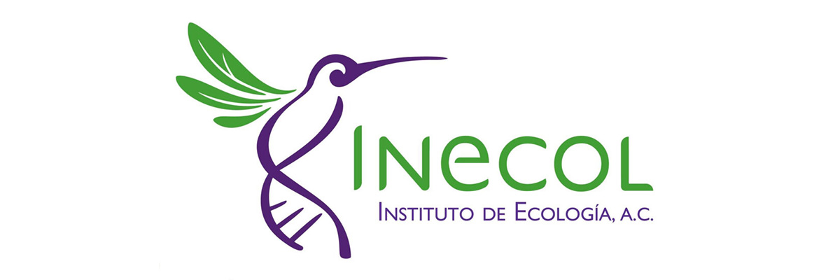 inecol-servicio-social_01