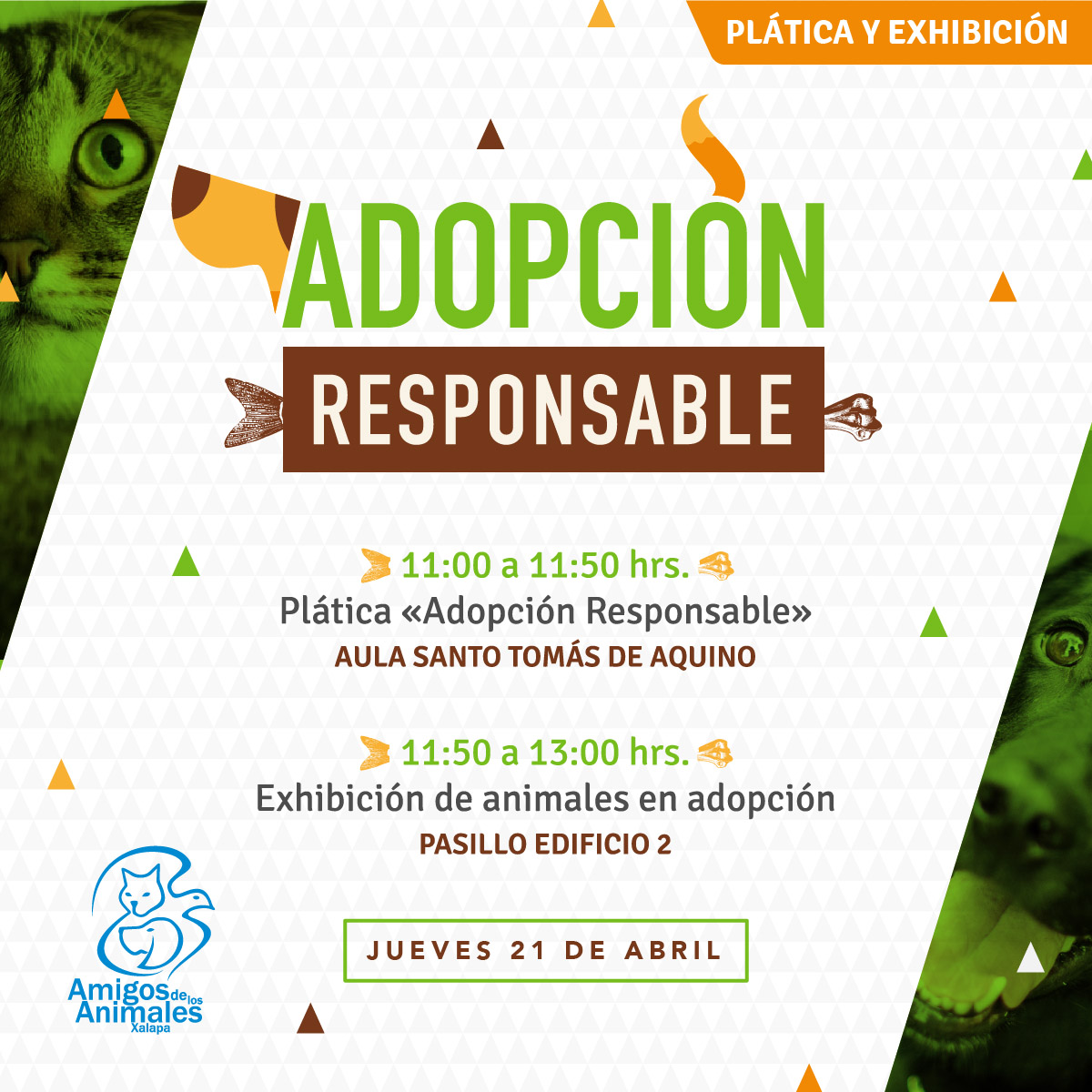 Plática Adopción Responsable Plática Adopción Responsable